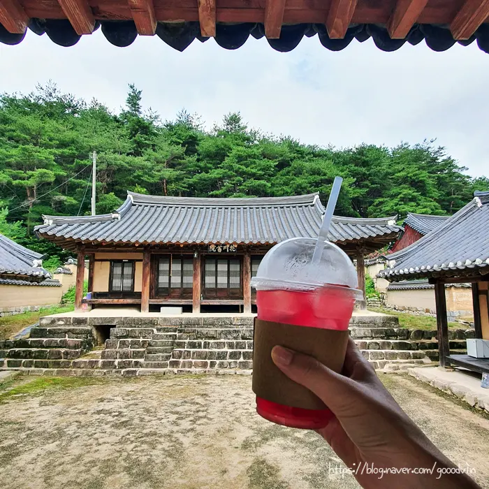 Sipping Omija Tea