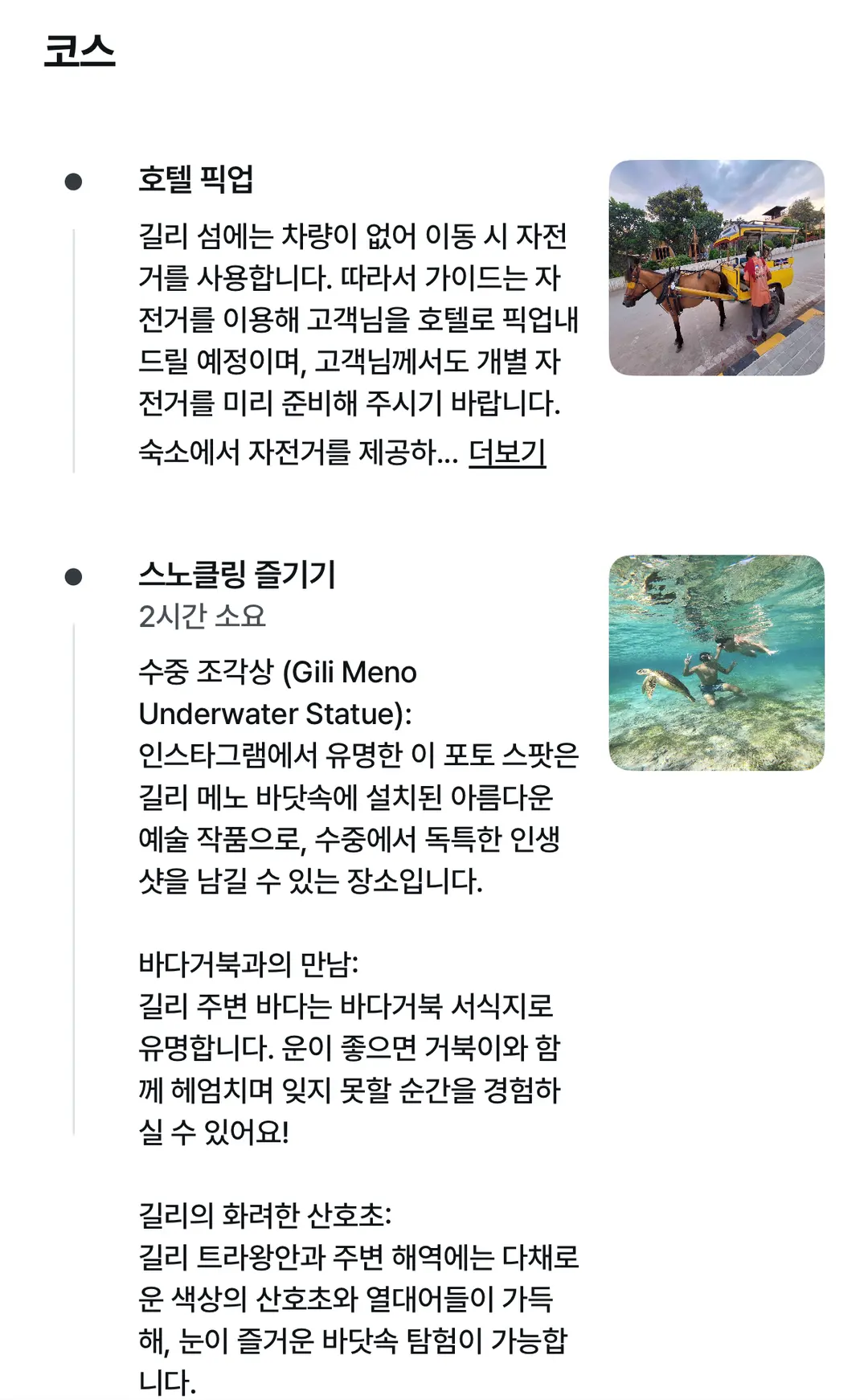 출처 마리트