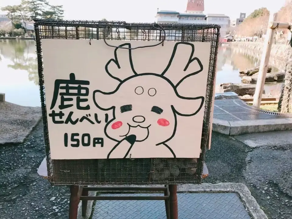 Feeding deer in Nara Park