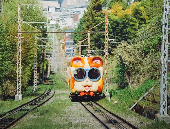 Cute animal-themed cable car