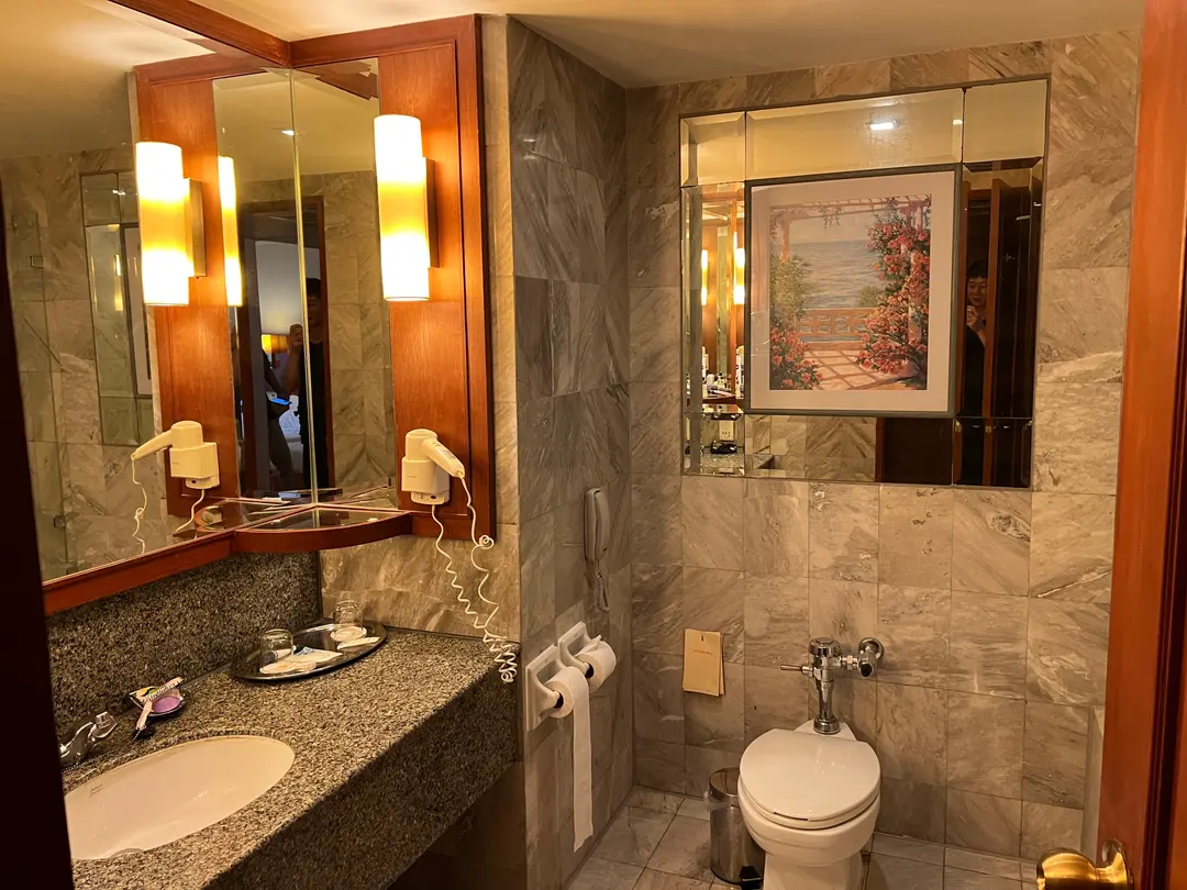 Rembrandt Hotel Bathroom