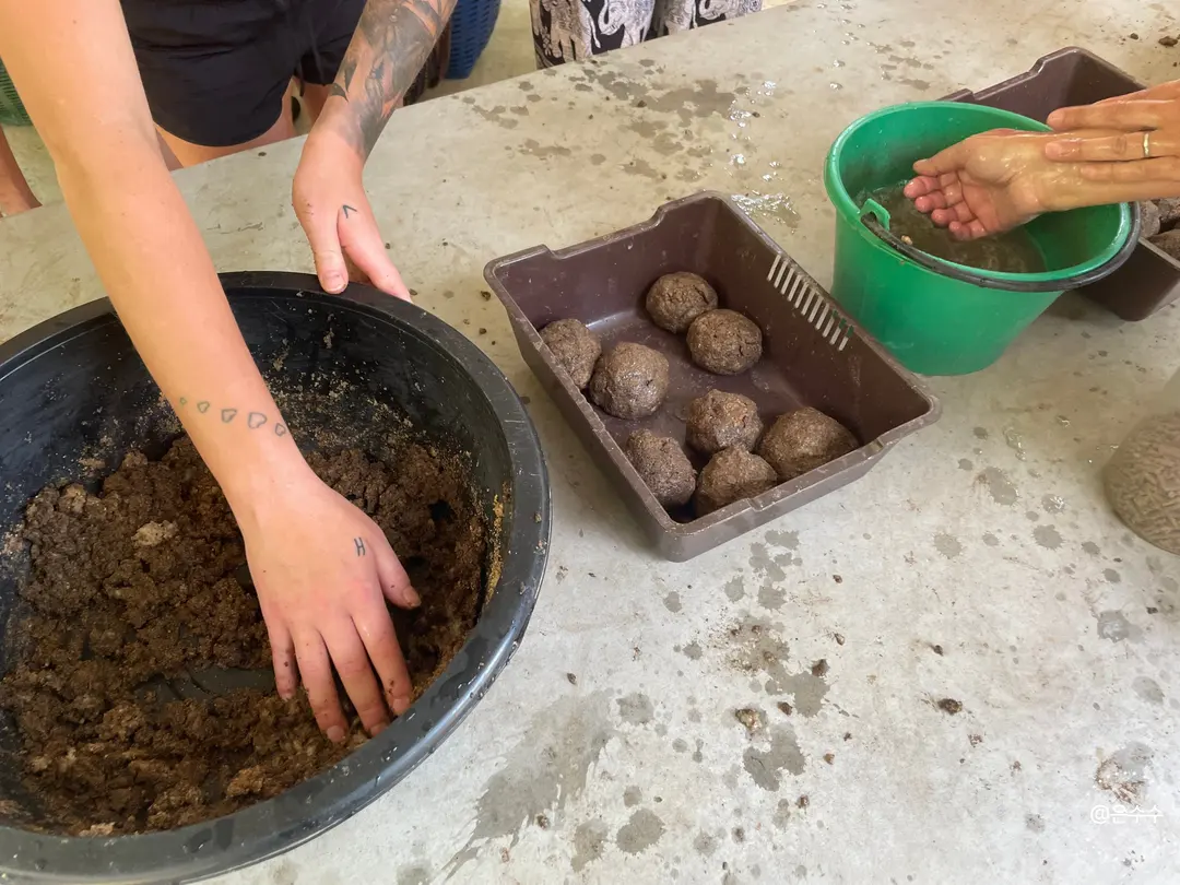 Kneading protein balls