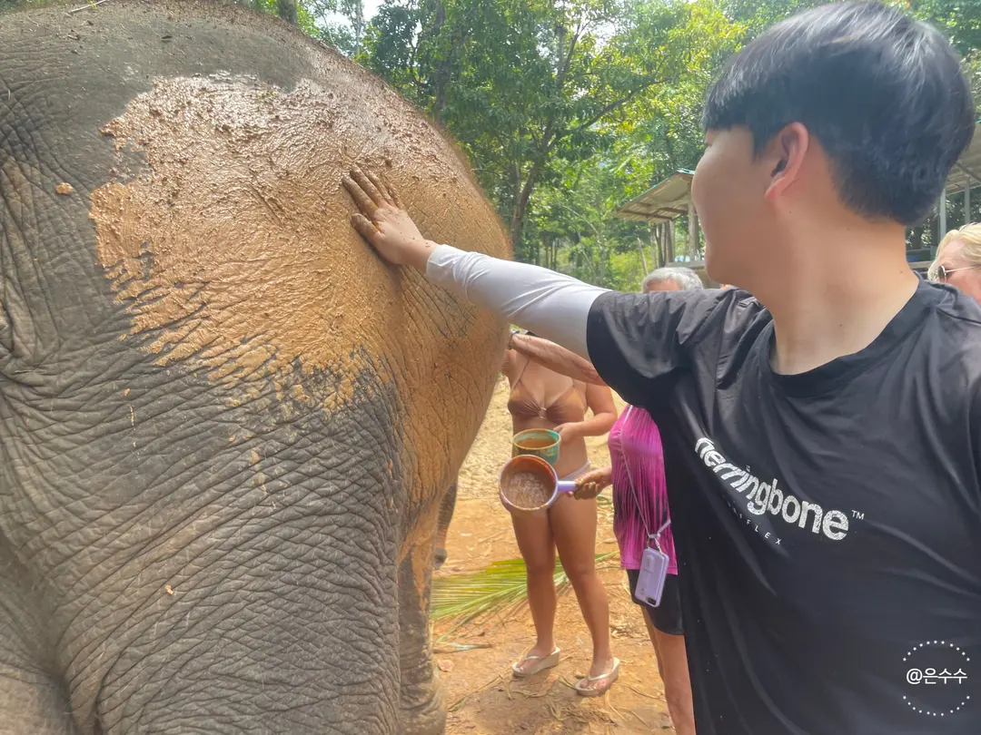 Enjoying the mud bath