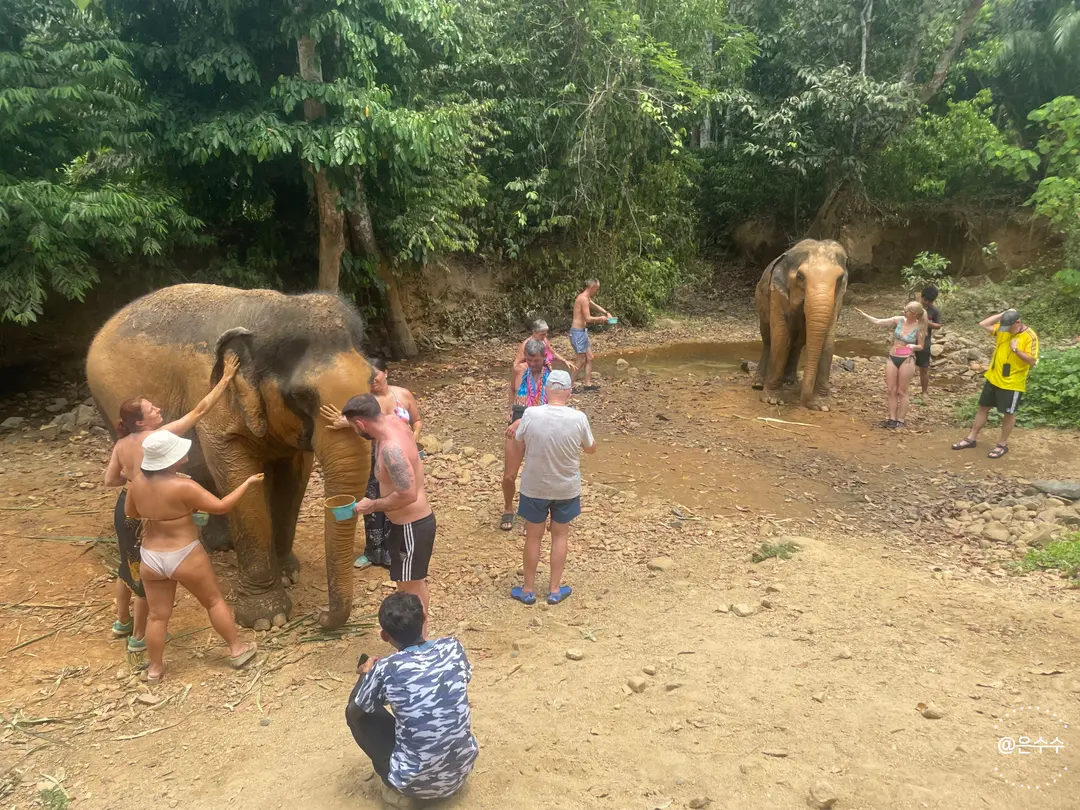 Group mud bath activity