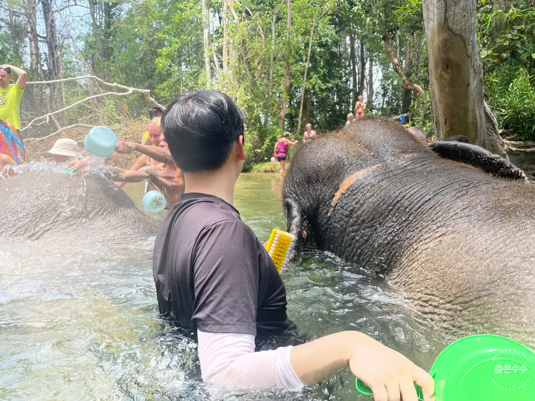Scrubbing the elephant
