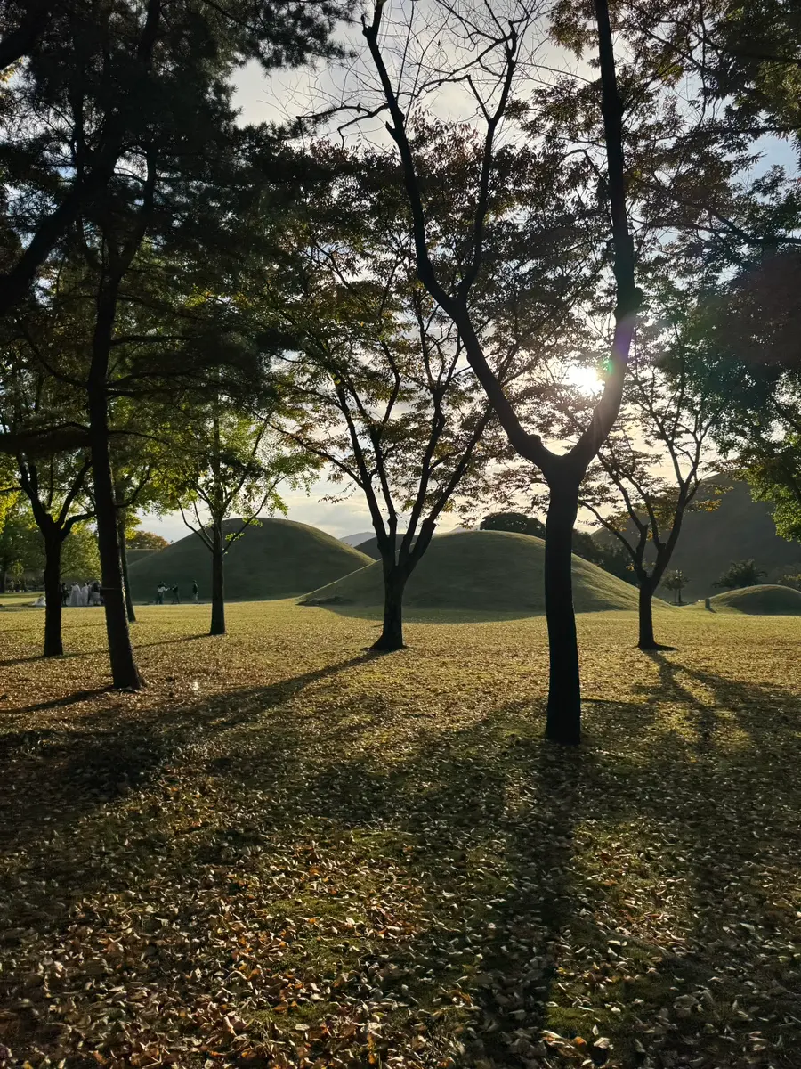 เดินเล่นที่สุสานหลวงแดนึงวอน ได้กลิ่นอายความเป็นคยองจูแบบสุดๆ