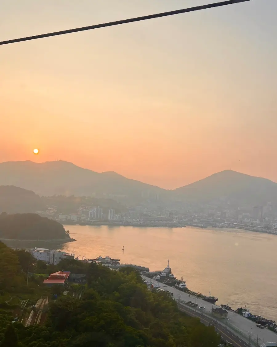 Golden hour over the bridge
