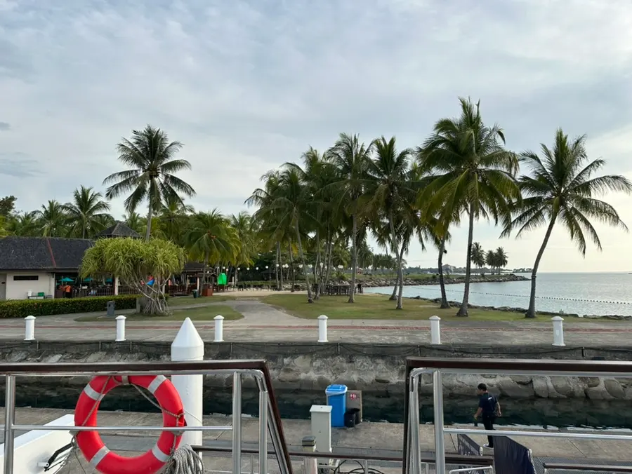 Deck View