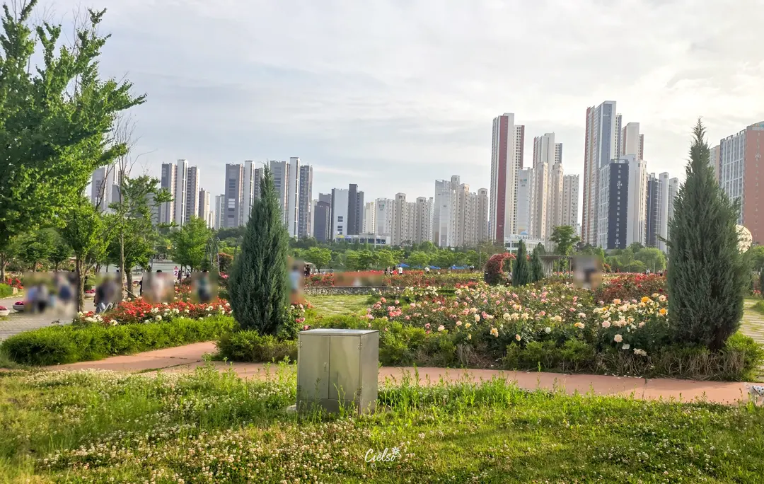 湖水公園の風景