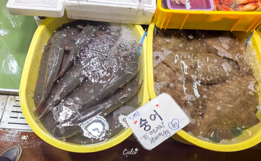 ปลาดิบสดๆ