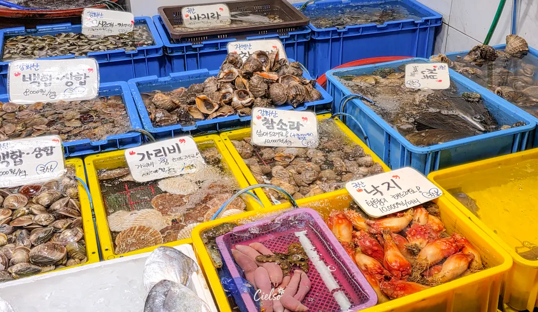 หอยสดๆ