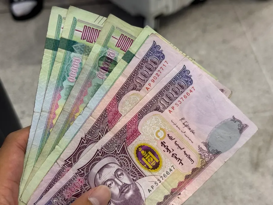 เงินสดสกุลเงินทูกริกมองโกเลีย