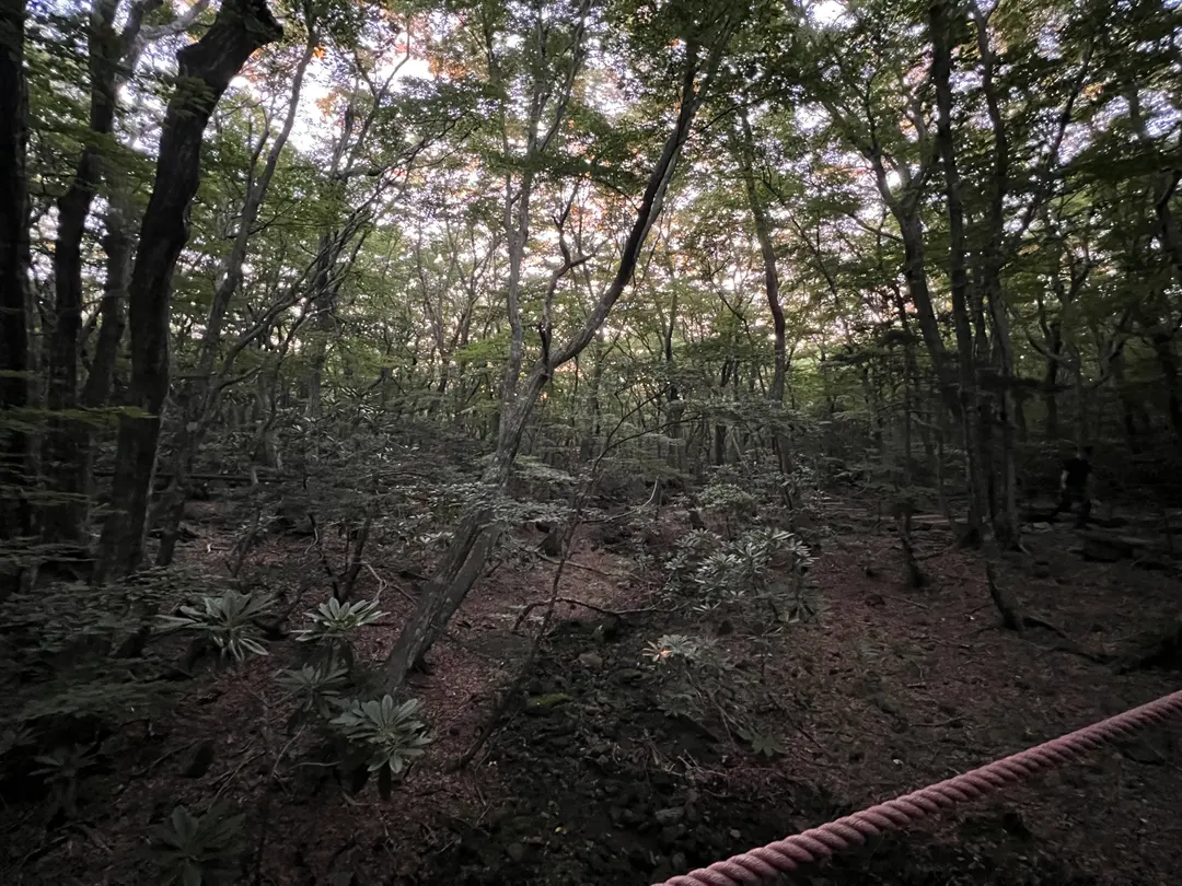 早朝の登山口の様子