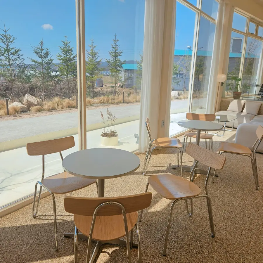 Sunlit interior of the cafe