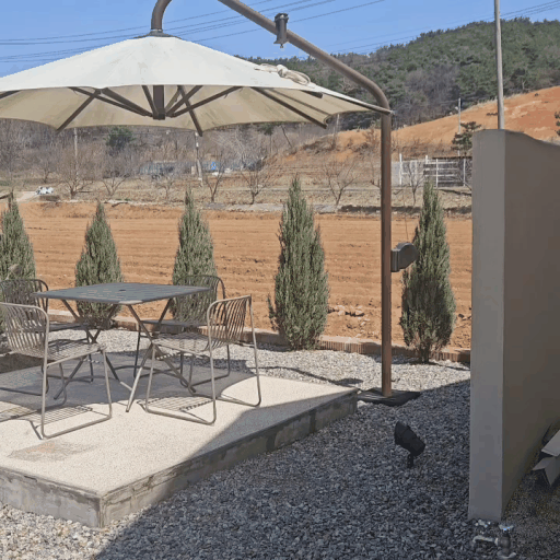 Terrace with tropical plant details