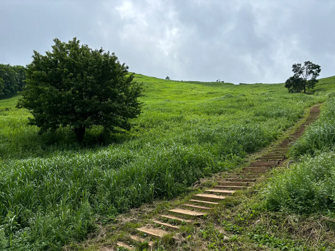 สถานที่ท่องเที่ยวที่น่าสนใจในจองซอน คังวอนโด เดือนมิถุนายน-กรกฎาคม