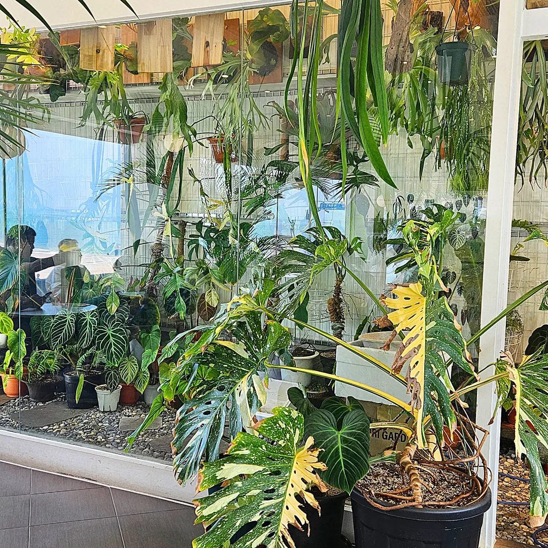 Indoor greenhouse zone
