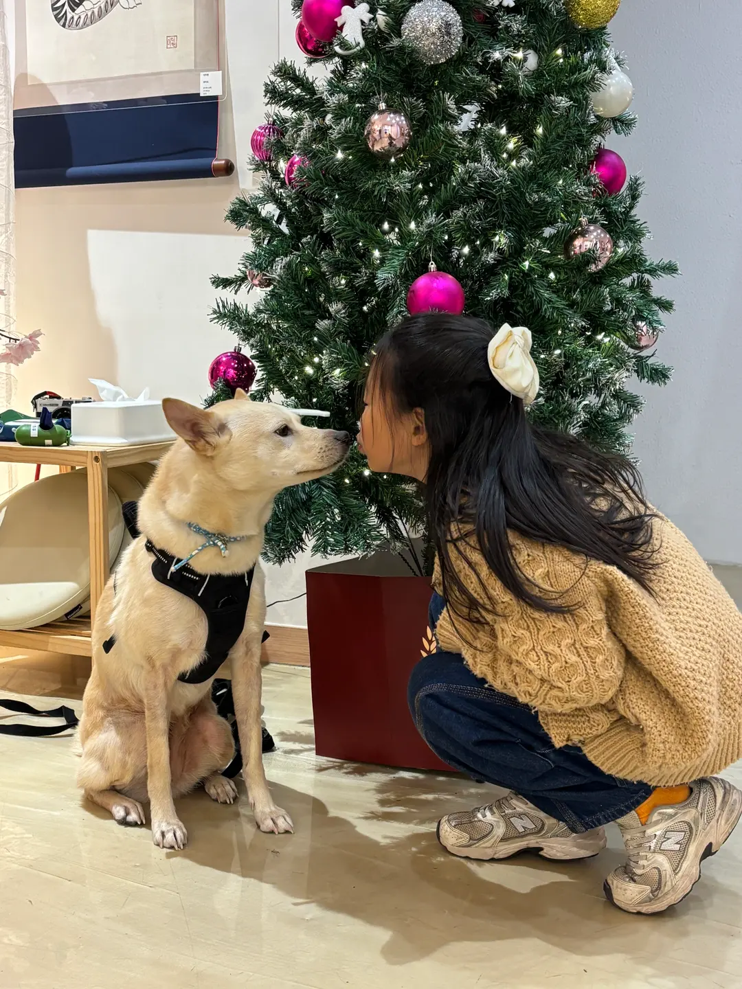 군산 애견동반 여행코스