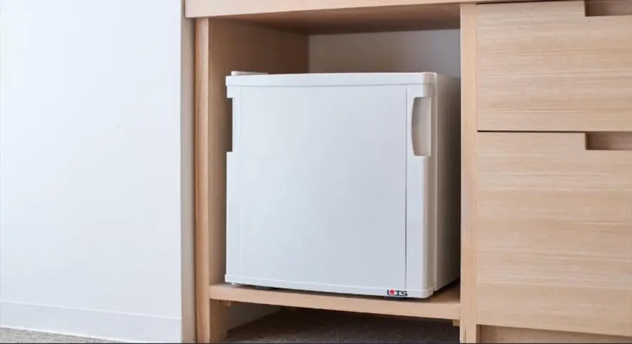Refrigerator - Source: Agoda Booking Page