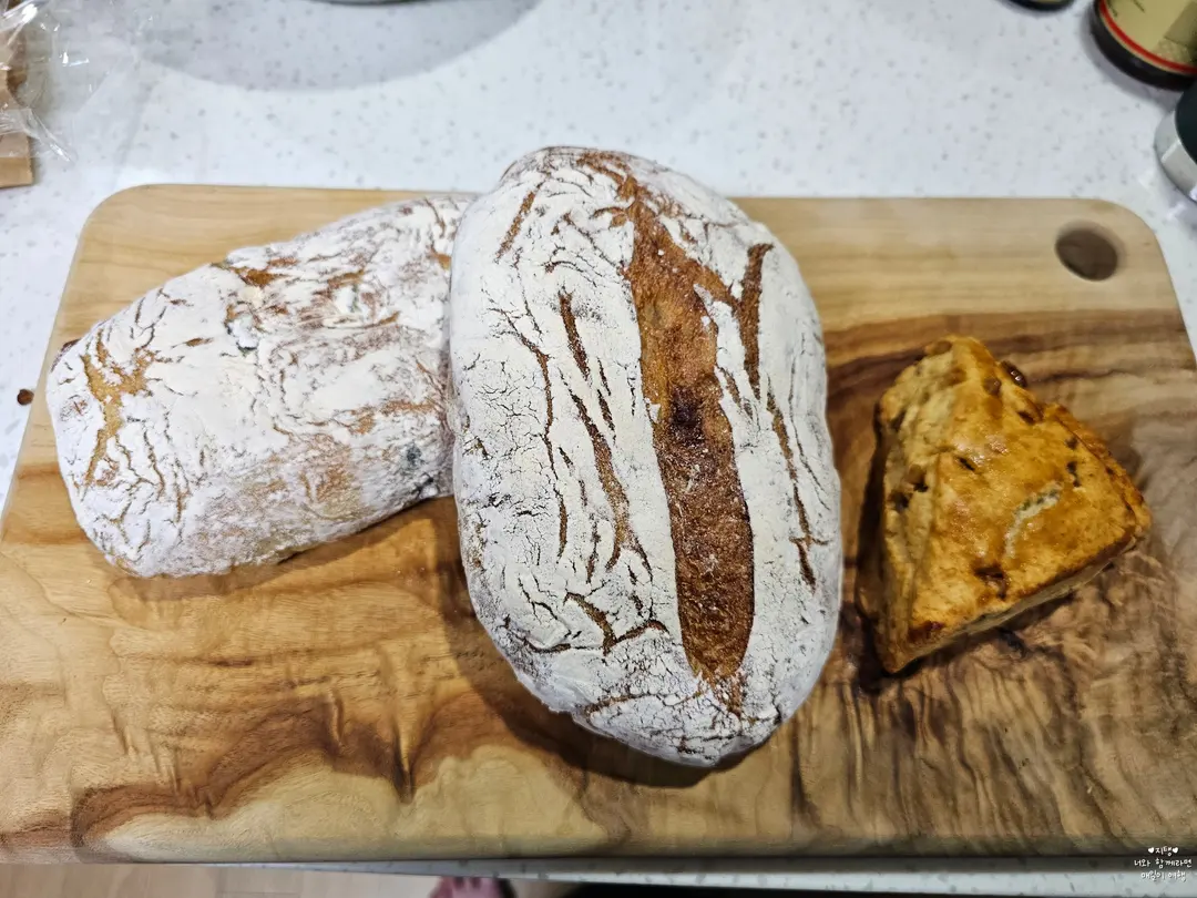 Olive Ciabatta / Fig Campagne / Cream Walnut Scone