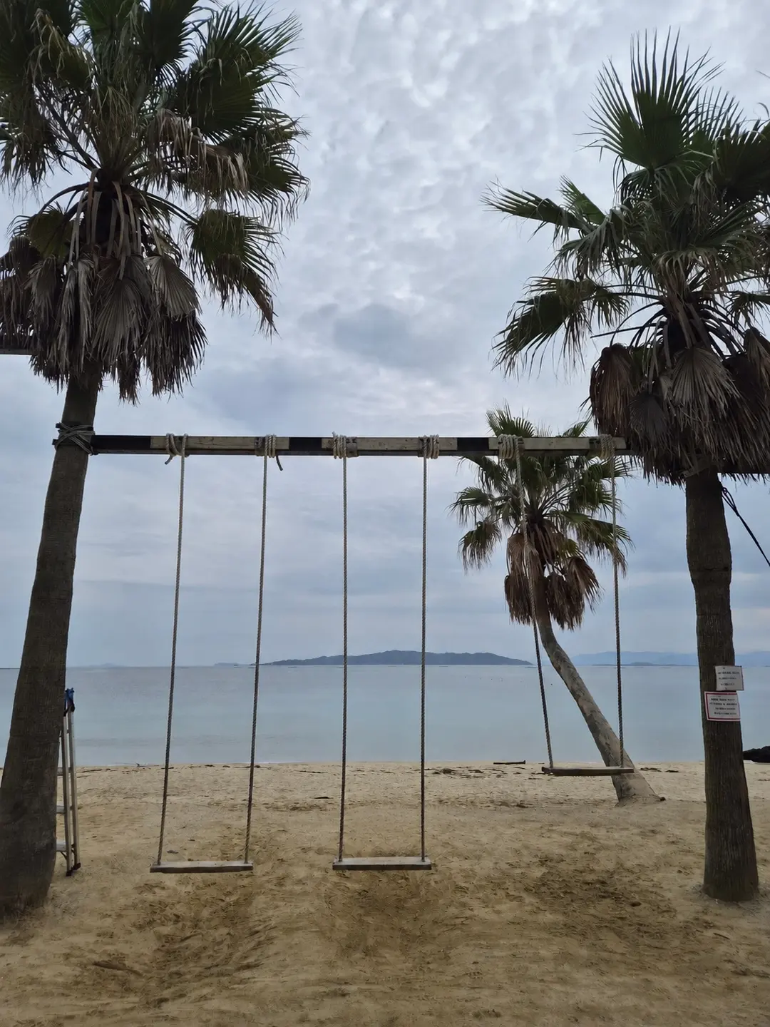 Palm tree swing