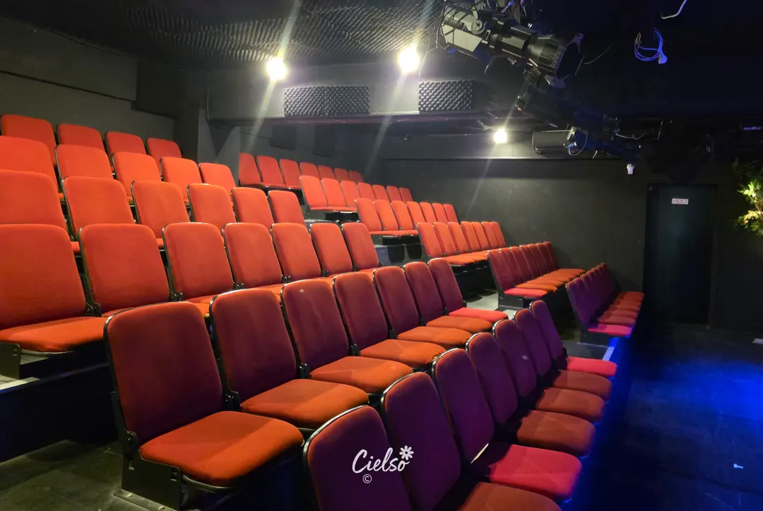 Back support seats