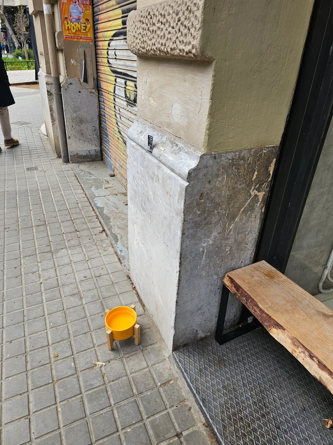 Dog water bowl