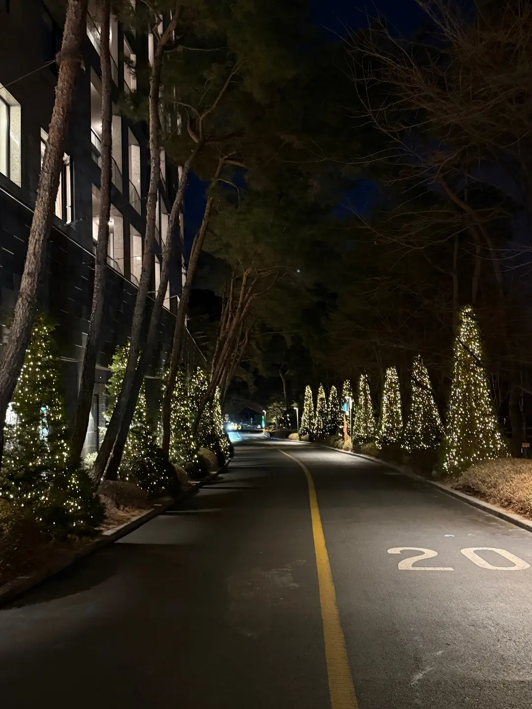 夜の散策路のライトアップ