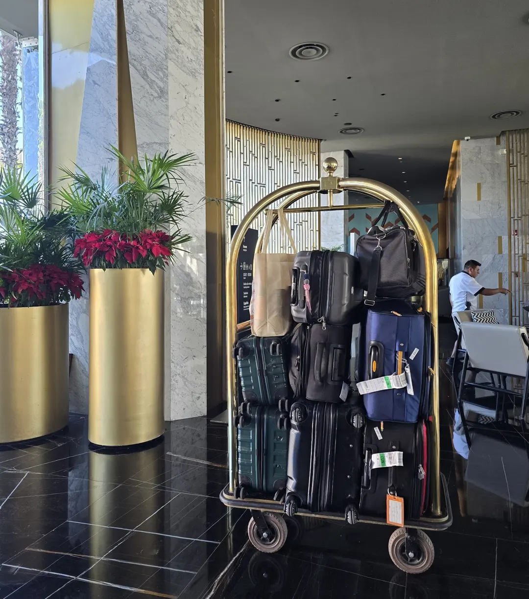 Luggage delivery