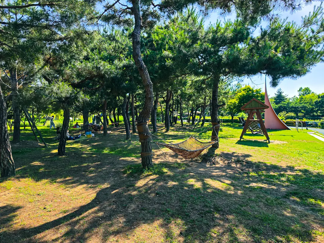 Hammocks under the trees