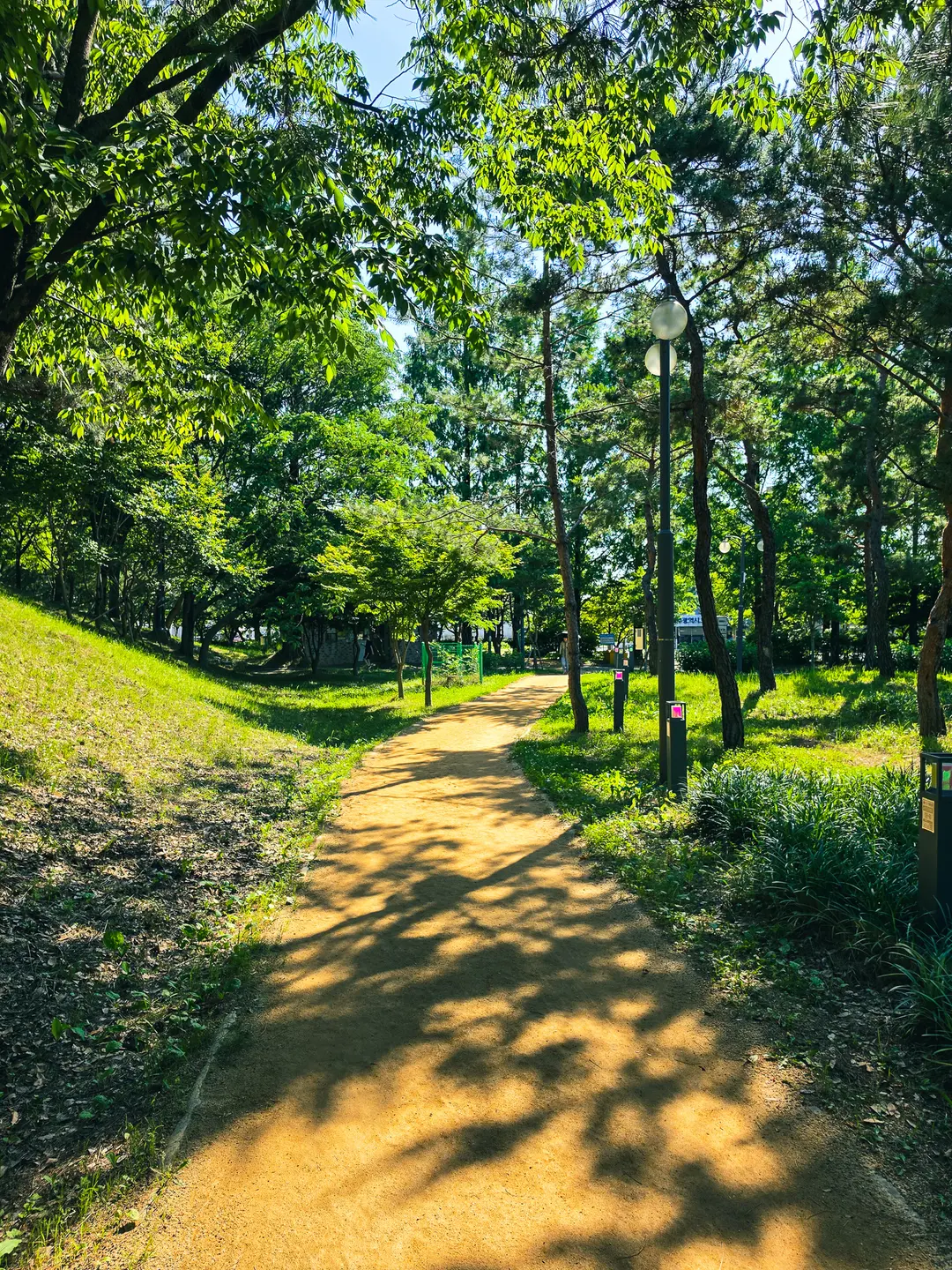 Red clay walking path