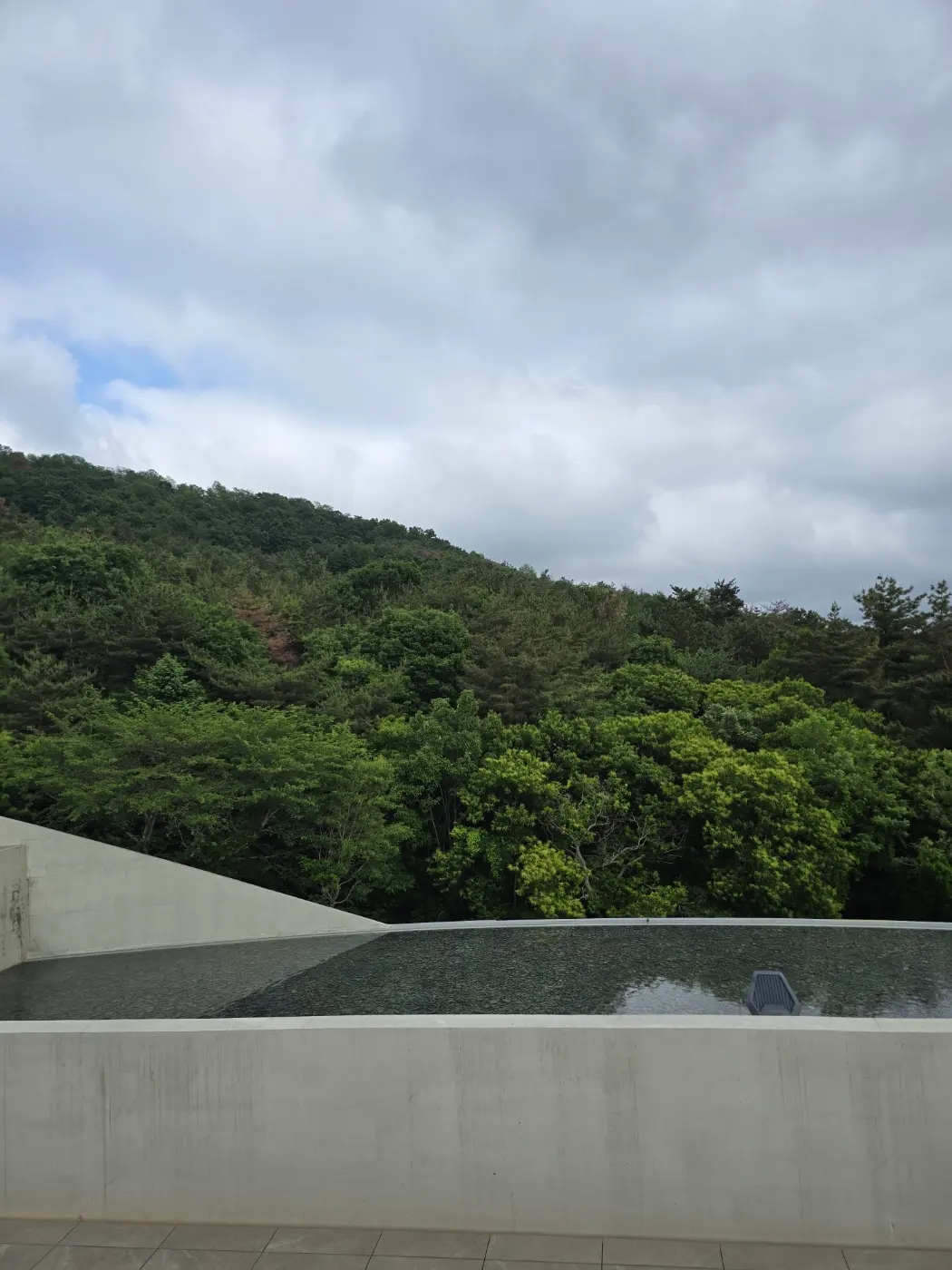 Outdoor Garden