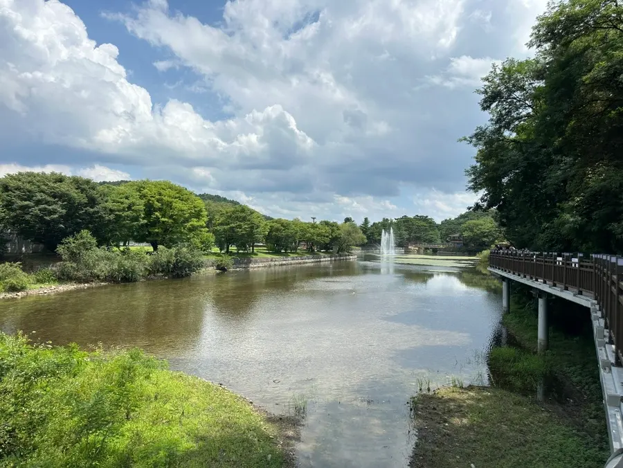 The peaceful wooden boardwalk trail
