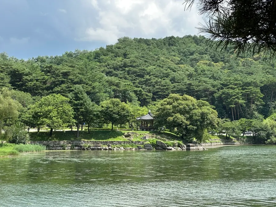 Lush greenery surrounding the reservoir