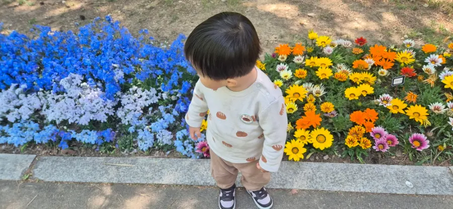 どこで写真を撮るか悩むモルディブ