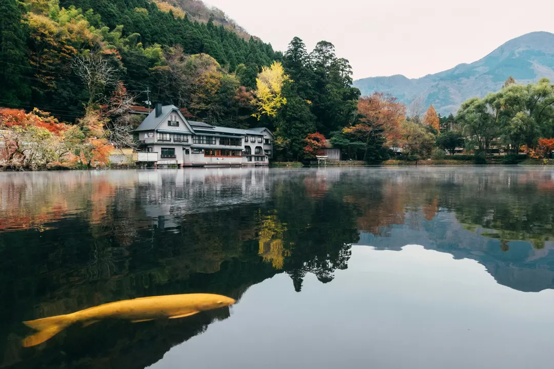 出展:Unsplash @Tayawee Supan