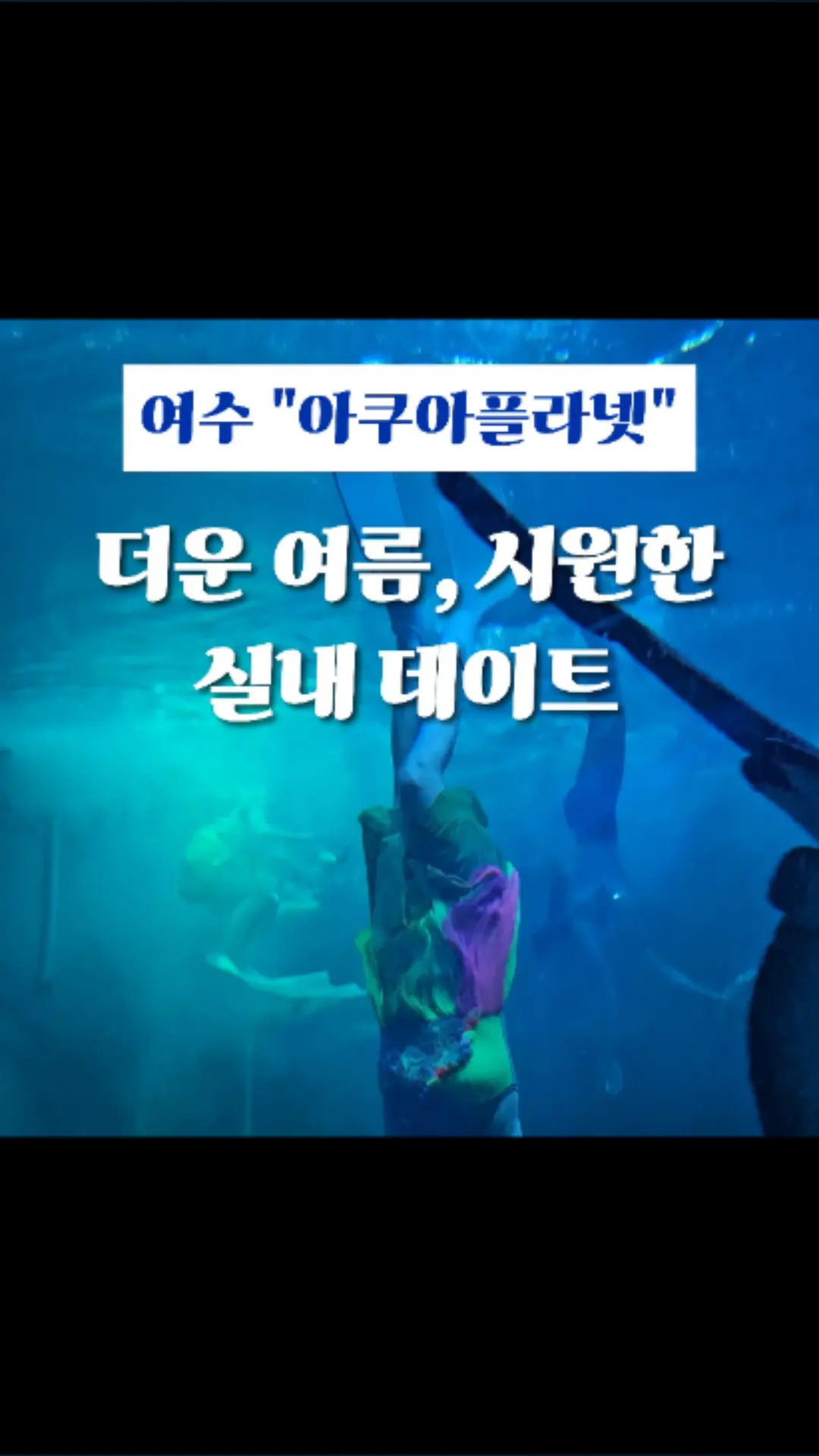 Wondering where to go for an indoor date in Yeosu? From penguins and sea turtles to a magical mermaid show at the cool Aqua Planet!🎞️ Highly recommended for both families with kids and couples! #AquaPlanetYeosu #YeosuIndoorDate #YeosuWithKids #YeosuItinerary #YeosuSummerTrip #YeosuFamilyTrip #TodayHereClip #ClipChallenger