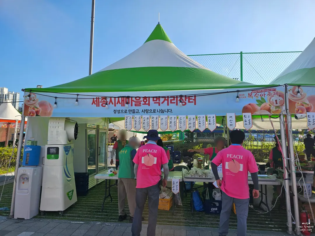 세종 조치원 복숭아축제 먹거리