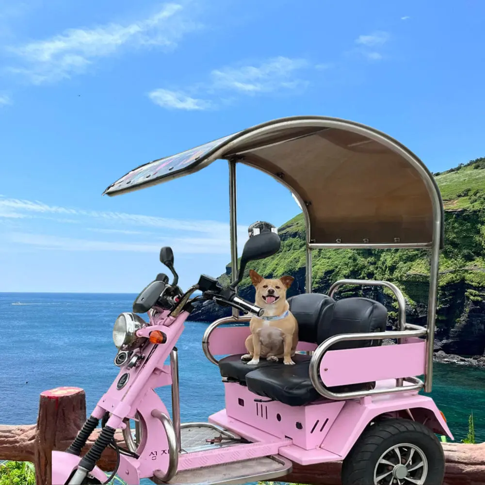 [牛島 W] 牛島電動車預約、電動自行車租借、邊車租借，時間無限：牛島 W 休閒