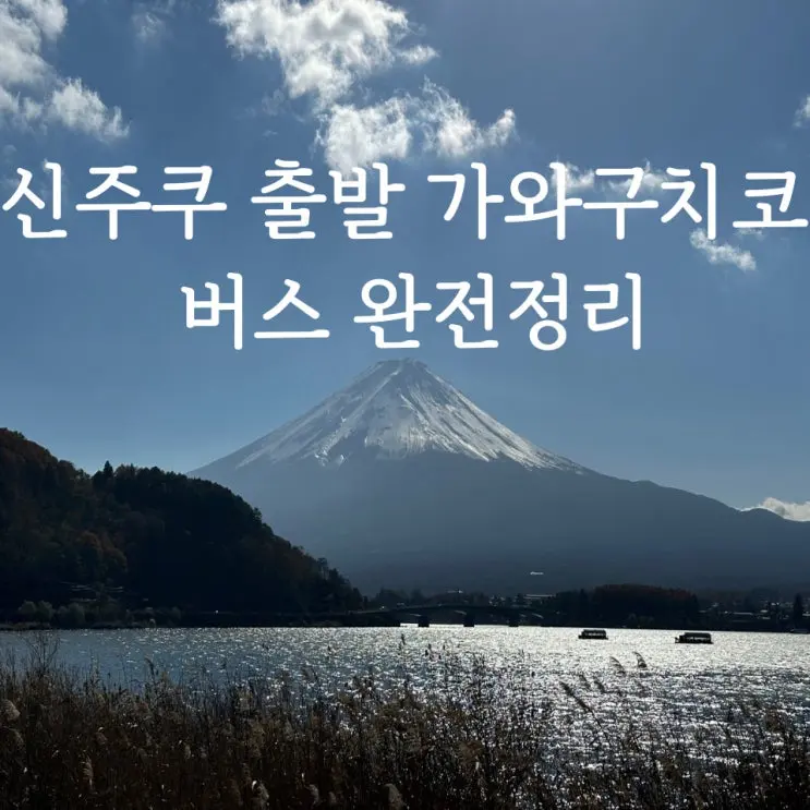 [신주쿠 가와쿠치코 버스] 후지산보러 고속버스 타고 가는 방법 좌석 선택 소소한 팁까지
