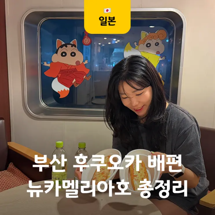 Busan to Fukuoka Ferry: New Camellia Line Prices, Schedule, 2nd Class Cabin Review