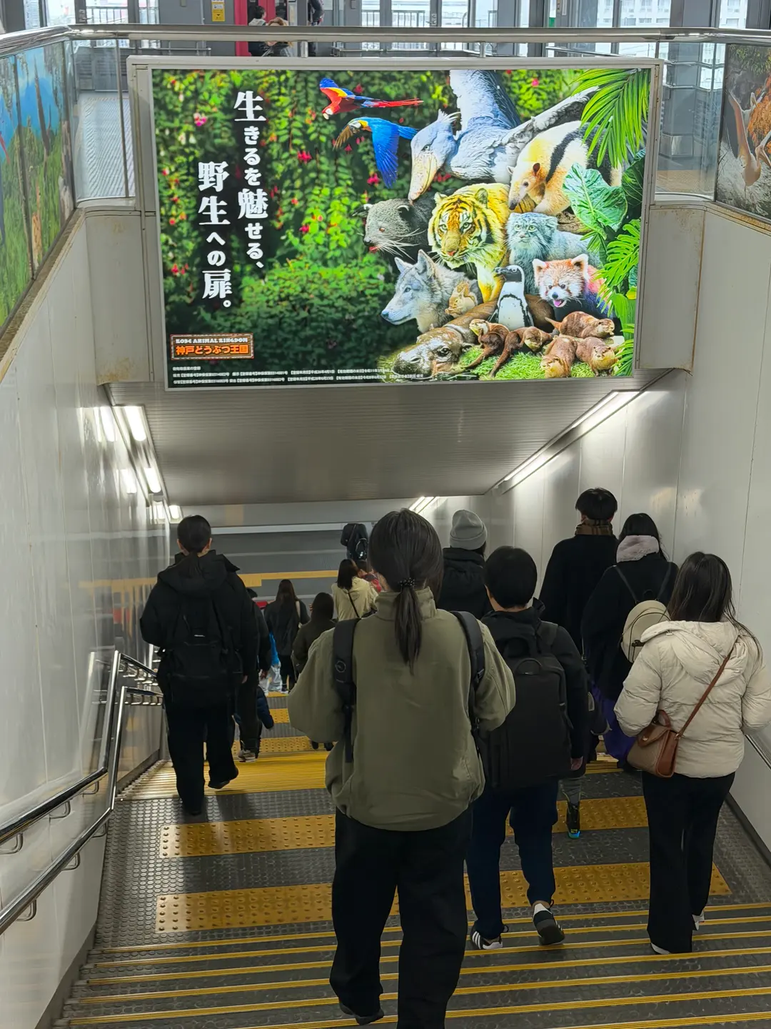 神戶三人家庭旅遊高CP值酒店推薦