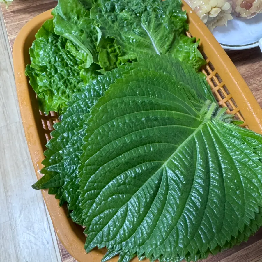 Fresh lettuce and perilla leaves