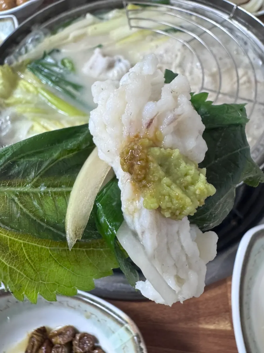 Hamo wrap with perilla leaf