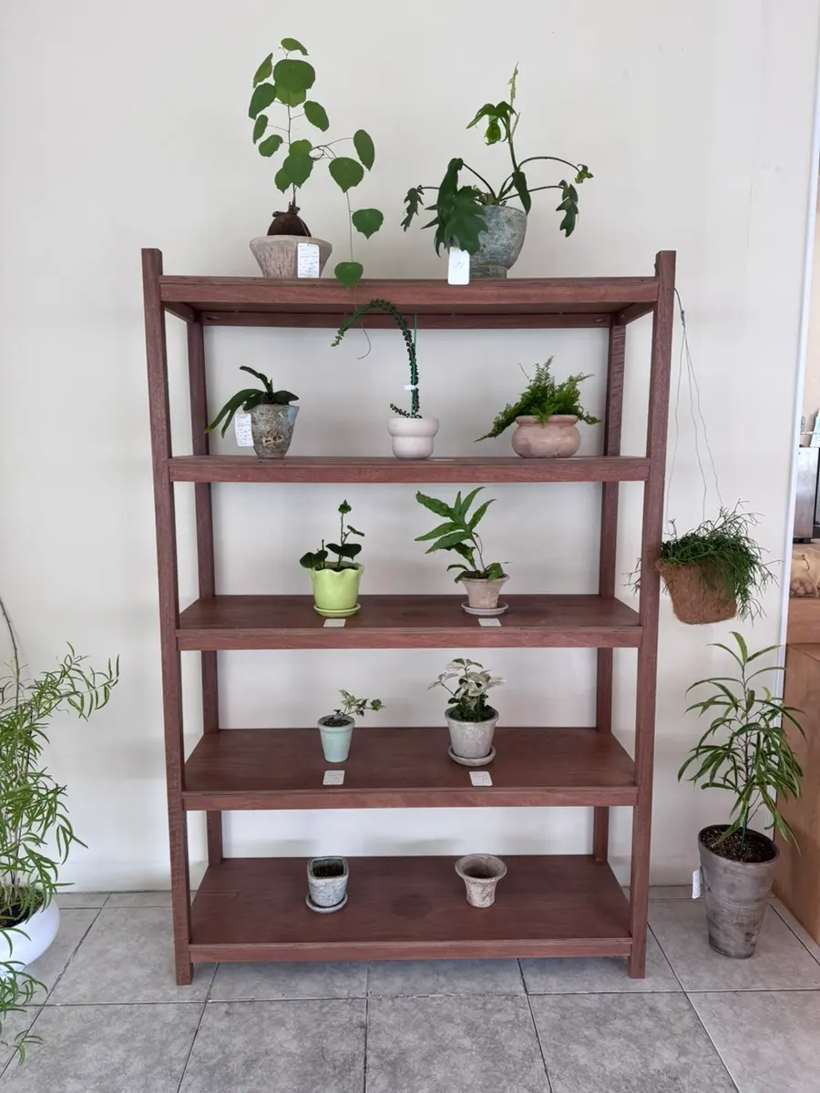 Hokho Cafe Plants