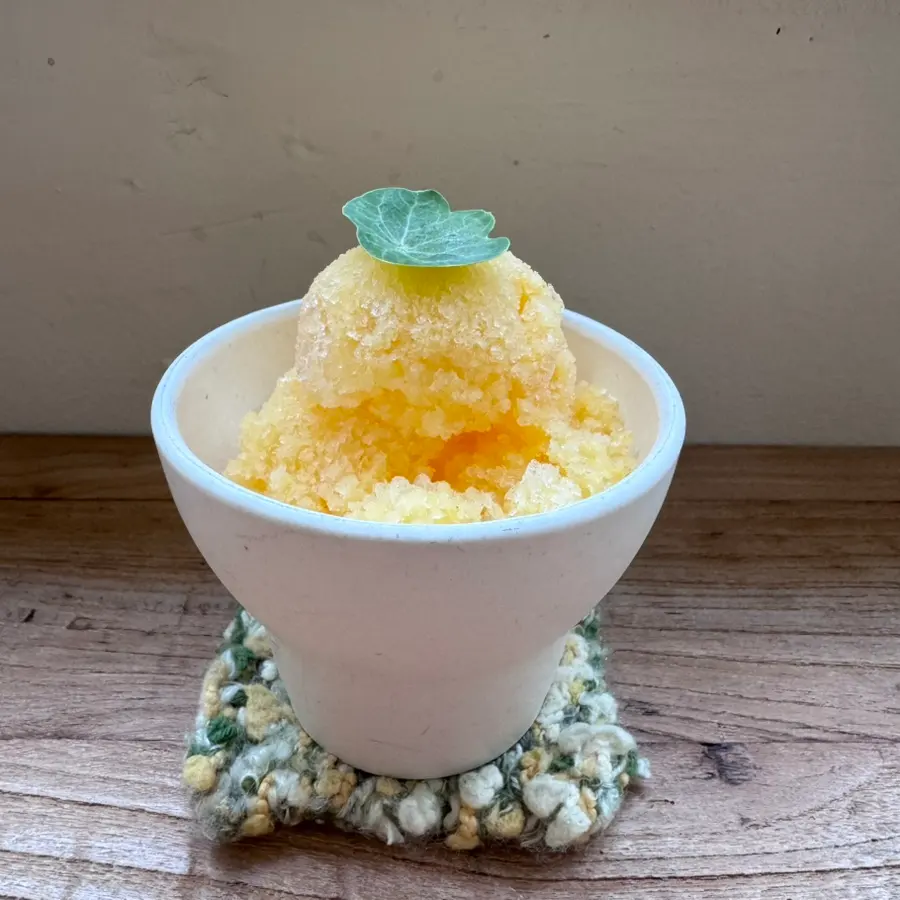Orange Sherbet