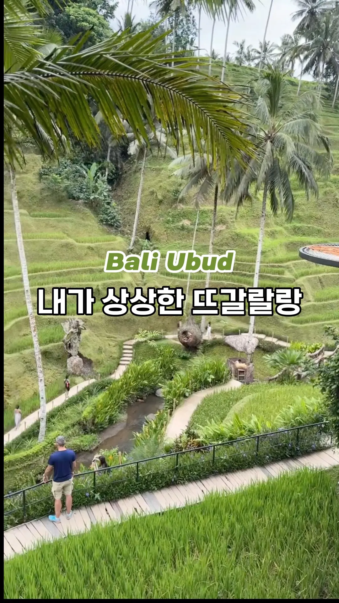 🇮🇩 우붓 뜨갈랄랑에서 생긴 일 🌿 내가 상상한 뜨갈랄랑 푸릇푸릇한 계단식 논, 싱그러운 초록 물결 💚🌾 내가 마주한 뜨갈랄랑 뭔가 휑한 느낌, 열심히 벼를 베고 있는 아저씨…?! 😲 알고 보니 1년에 2~3번 벼를 수확하는데, 논마다 벼를 심는 시기가 달라서 어떤 곳은 푸릇푸릇, 어떤 곳은 수확 후 휑~한 모습일 수도 있다는 사실! 기대했던 풍경과는 달랐지만, 오히려 우붓의 진짜 농업 풍경을 본 것도 색다른 경험! 😆💚 #클파원챌린지 #발리여행 #우붓여행 #뜨갈랄랑 #발리우붓여행 #우붓 #발리 #우붓가볼만한곳