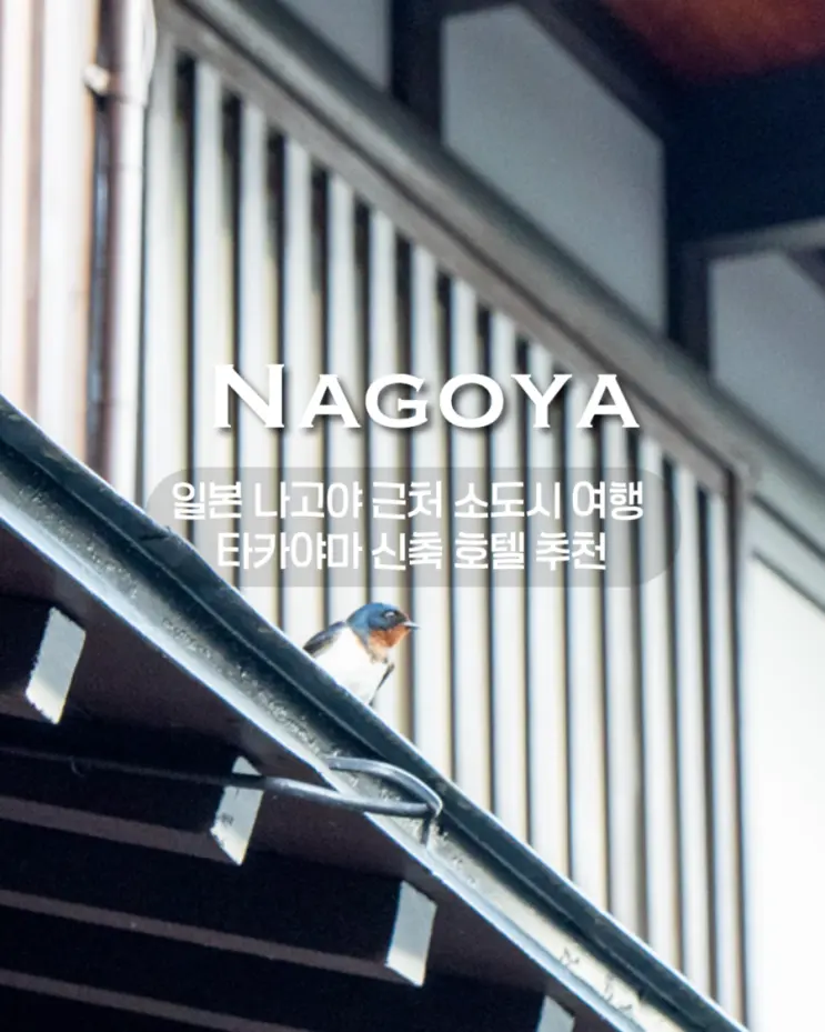 Exploring Small Towns Near Nagoya / Recommended New Hotel in Takayama: Perfect Location, Great Value, and Unisex Open-Air Spa - Hotel Amanek Takayama Hida