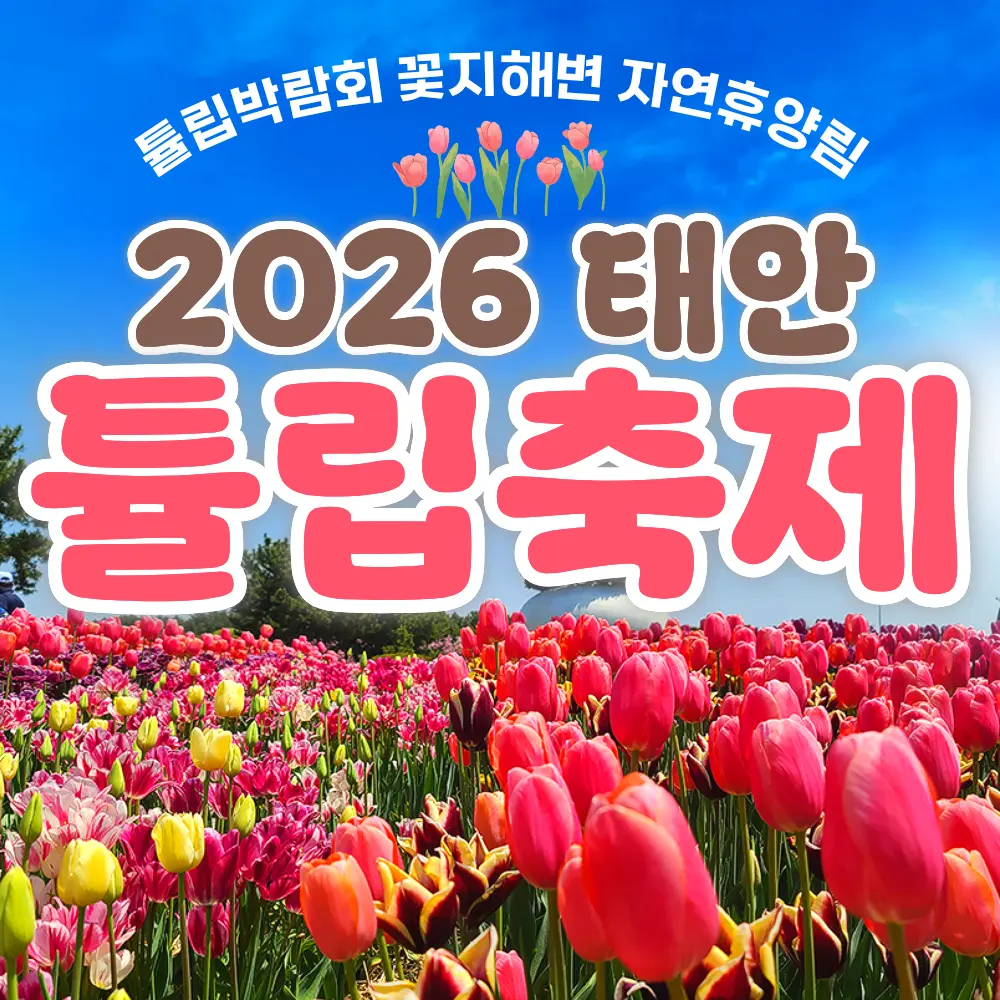 2026 태안 세계튤립박람회 안면도 자연휴양림 간월도 당일 기차여행 (국내 패키지 코레일 주말 충남 축제여행)