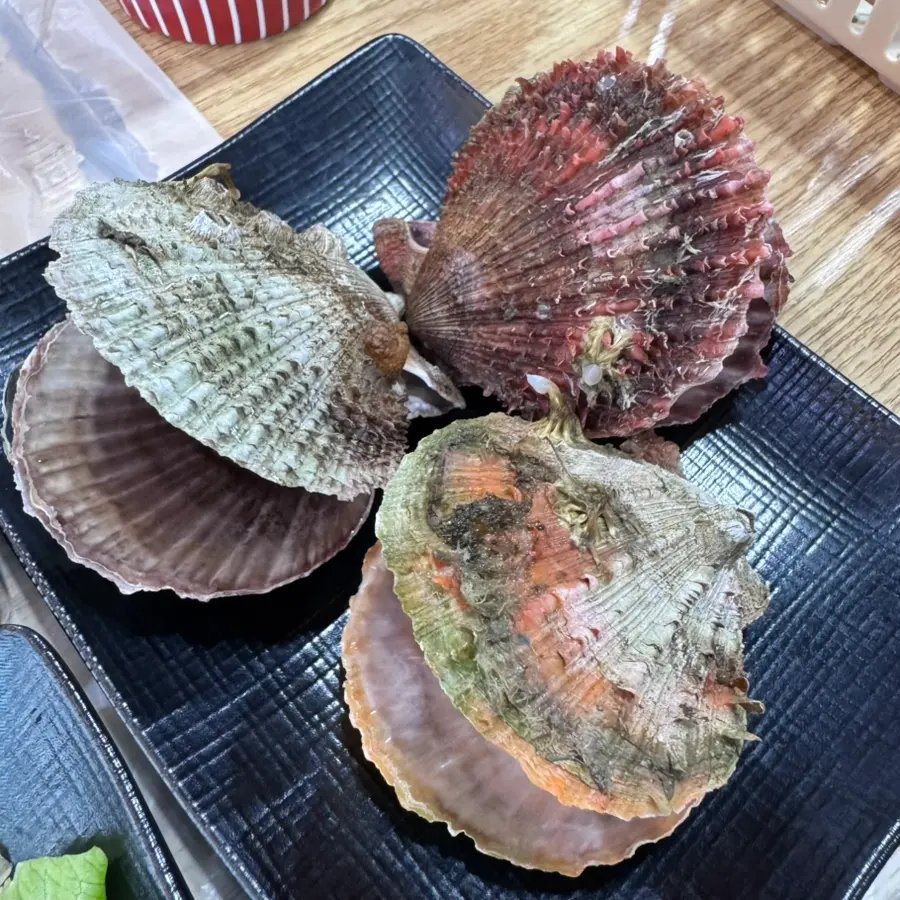 Close-up Seafood